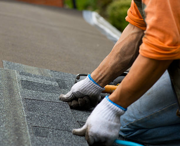 Best Residential Roof Replacement  in Shingle Springs, CA