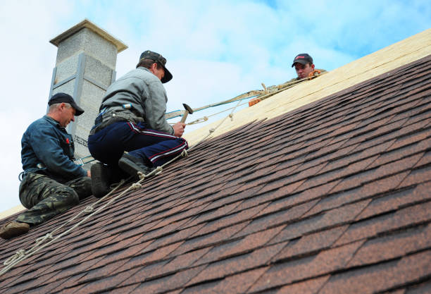 Best Local Roofing Companies  in Shingle Springs, CA